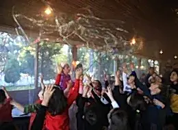 Profesyonel Bubble Show