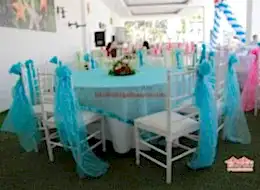 Masa ve Sandalye Süsleme Hizmeti İstanbul Organizasyon