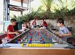 Mega Langırt Oyun Kiralama Hizmeti İstanbul Organizasyon