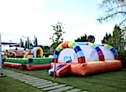 Şişme Oyuncak Kiralama İstanbul Piknik Organizasyonu