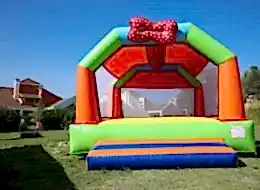 Papyonlu Zıpzıp Kiralama İstanbul