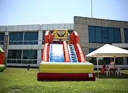 Temalı Şişme Kaydırak Kiralama