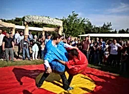 Sumo Güreşi Oyun Parkuru Kiralama