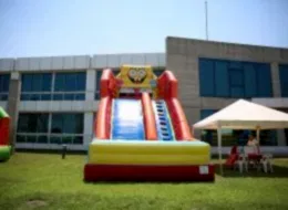 Sünger Bob Kaydırak Kiralama İstanbul