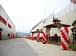 Dikme Balon Süsleme
