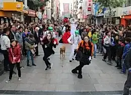 İstanbul Varyete Grubu Kiralama